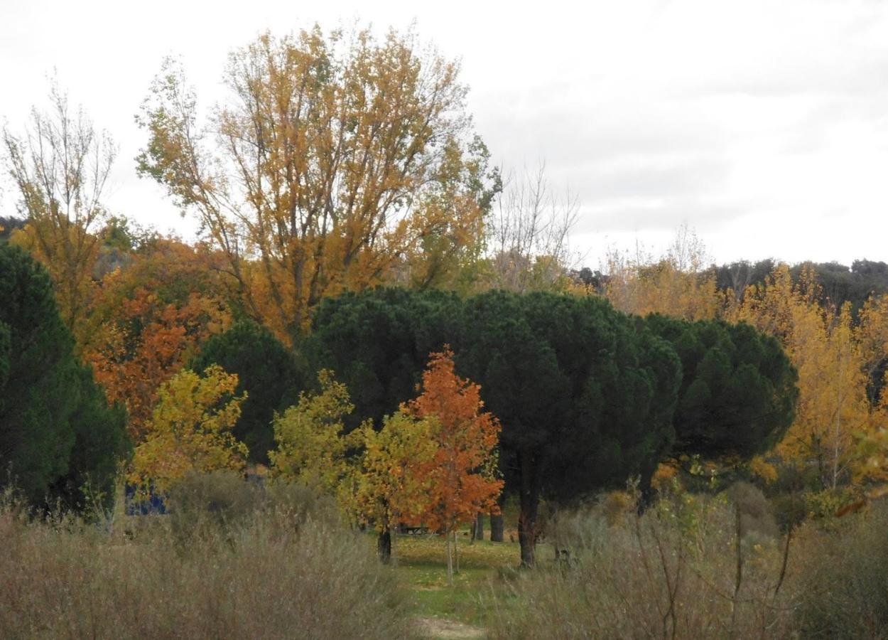 Apartamentos "Casa Rural De Aldea" Aldea del Fresno Bagian luar foto